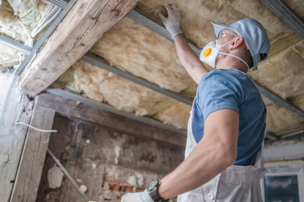 Best Insulation Maintenance and Repair in Port Labelle, FL