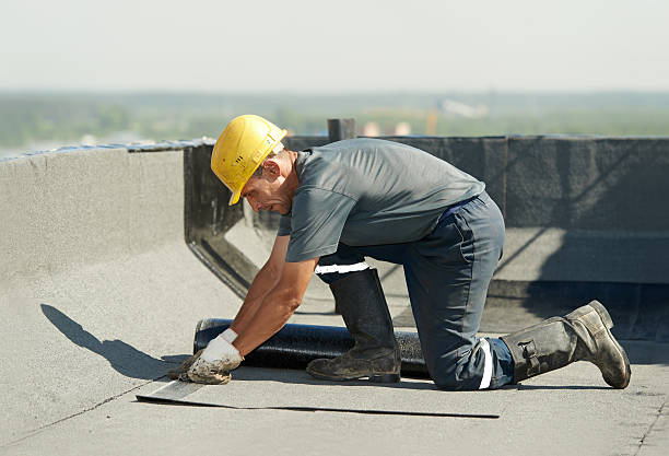 Best Residential Insulation in Port Labelle, FL
